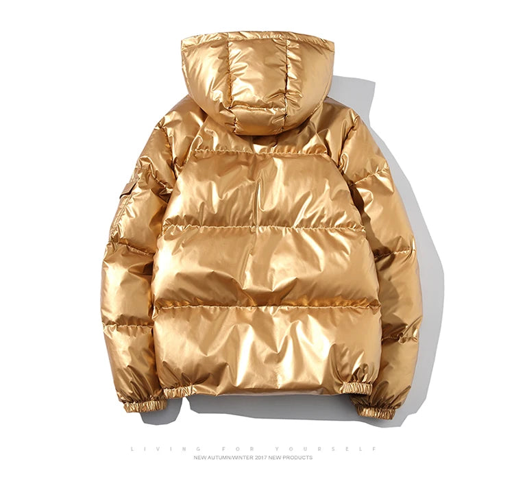 Hooded Puffy Jacket