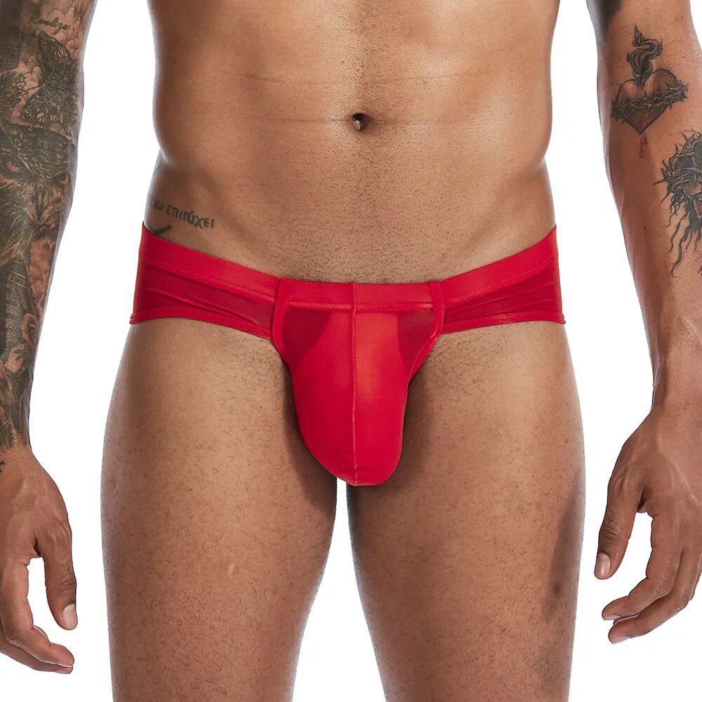 Briefs