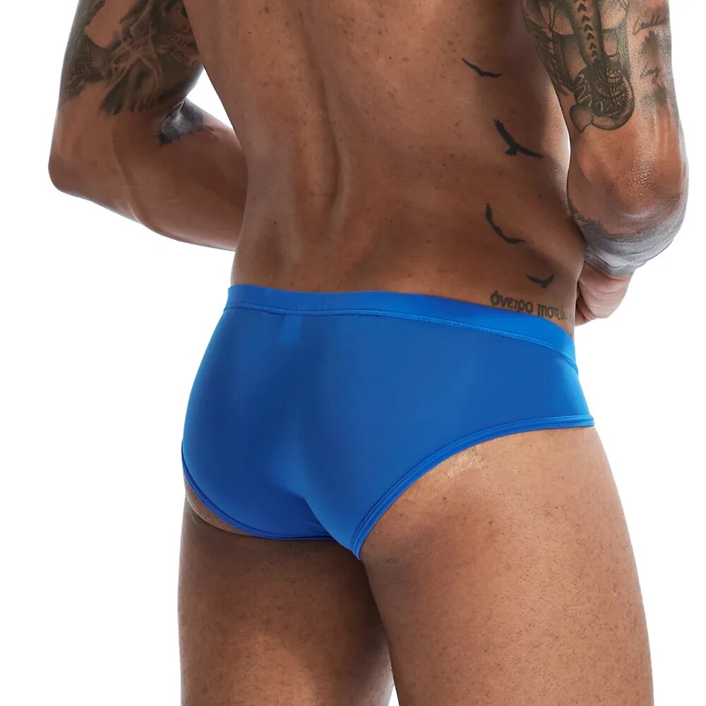 Briefs