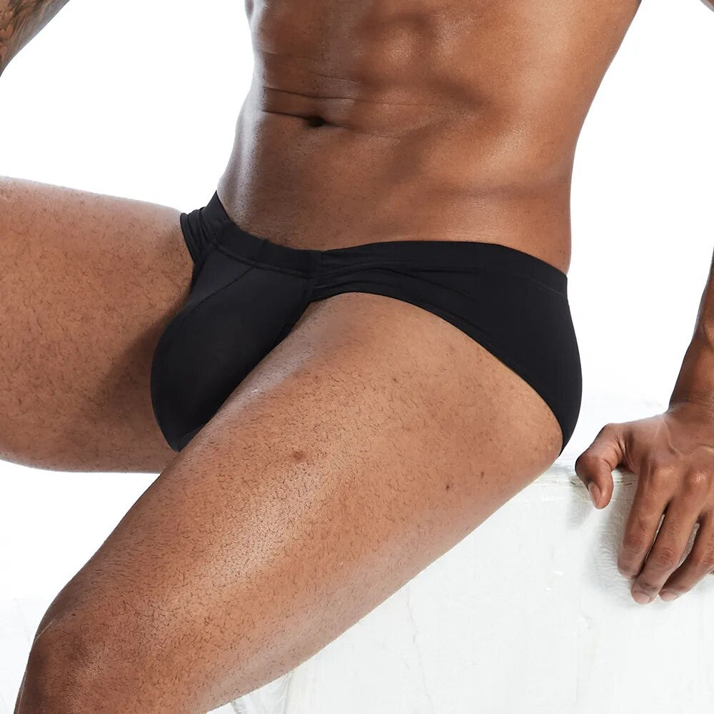 Briefs